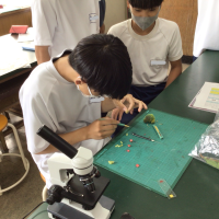 ６月３０日～７月１日　学校の学び