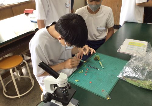 ６月３０日～７月１日　学校の学び