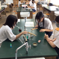 個別最適な学びと協働的な学びの自主研修【数学・理科】