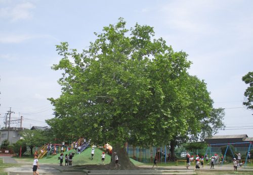 学校のようす