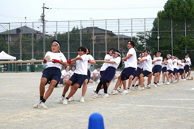 かしわぎ祭④　３年学年種目