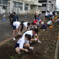 さつまいも収穫祭　あゆみ学級