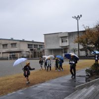 すっきりしない天気でした（11月26日）