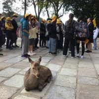 6年修学旅行1日目②（11月14日）