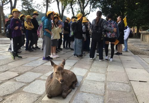 6年修学旅行1日目②（11月14日）