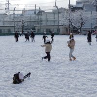 雪遊び（1月10日）＆５年金華山登山（1月14日）