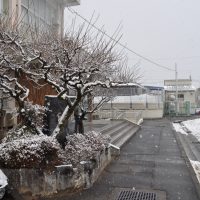 最強寒波がやってきました（2月5日）