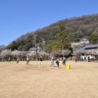 うめっこウォークラリー（3月10日）