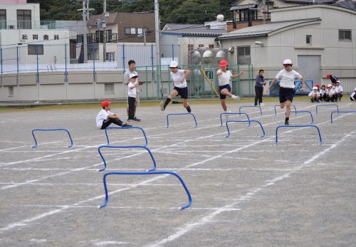 肌寒い一日でした（10月22日）