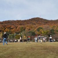 うめっこ班遊び in 梅林公園（12月2日）