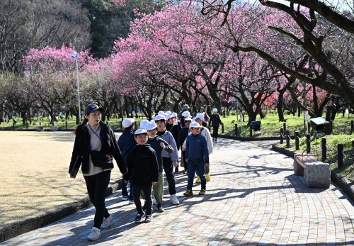 梅林公園に行こう！（3月11日）