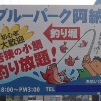 ２年「海の学習」［５月２１日⑵「ブルーパーク阿納」での活動・昼食］