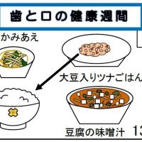 給食【６月１３日（金）】