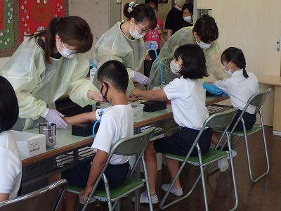 保護中: 小児生活習慣病予防対策の血液検査