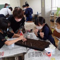 保護中: 園芸委員会「岐阜の花で飾ろう私の学校」（２組）