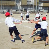 保護中: 団体競技「棒引き合戦」の練習