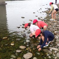 保護中: 川原で「石遊び・魚みつけ」