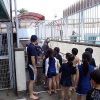 保護中: 水泳学習初日（プール開き）１