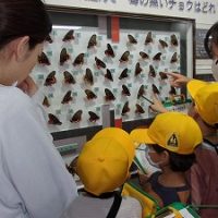 保護中: 岐阜公園への「校外学習」（親子行事）
