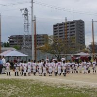 保護中: 【野球部】連勝！快勝！岐阜小！