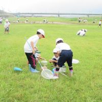 保護中: 【１年生】いきものと なかよし