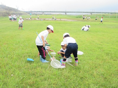 保護中: 【１年生】いきものと なかよし