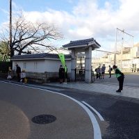 保護中: 今朝の光景（あいさつ・花・ぎんなん）