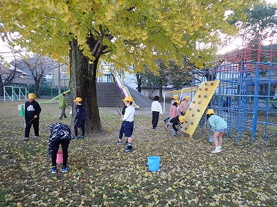 保護中: １２月がさわやかな朝・金色に輝いてスタート！