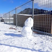 保護中: 魅力的な真っ白いキャンバス！