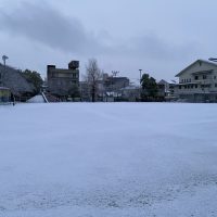 今朝の積雪状況