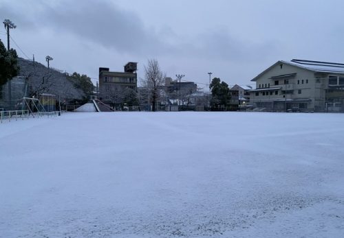 今朝の積雪状況