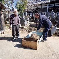 【菊栽培】春への準備