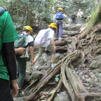 保護中: 金華山登山・岐阜公園周辺散策