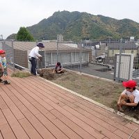 保護中: さつまいも苗植え