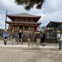 保護中: 【修学旅行２日目】奈良班別研修スタート