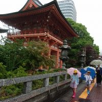 保護中: 【２学年】まちたんけん（京町）