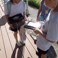 保護中: 【１年生】「虫さがし」後の子どもたちの意欲
