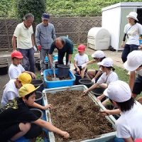 保護中: 【４年生】地域の方と「菊」の植え替え