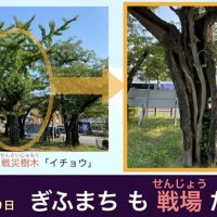 保護中: 【朝の放送】７月９日「岐阜空襲８０年」