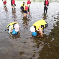 保護中: 【３年生】川の生きもの観察