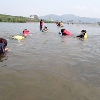 保護中: 【５年生】カワゲラウォッチング（水質検査）