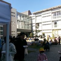 保護中: 【ふるさとふれあいフェスタ】感謝とお礼