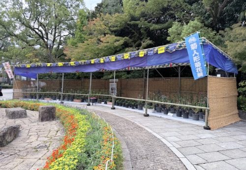 菊人形・菊花展2025