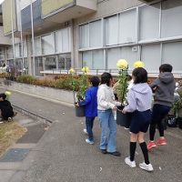 保護中: 【４年生】菊が「岐阜公園」から帰校