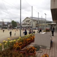 保護中: フリー参観２日目