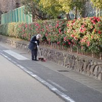 地域の皆さまに支えられてー満開のサザンカと冬の朝の清掃