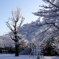 保護中: 雪化粧の金華山と子どもたちの冬の宝探し
