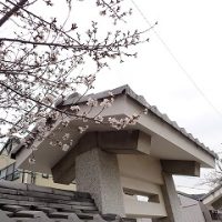 感謝に包まれた離任式　―9名の先生方を温かく送り出しました―