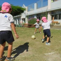 今週の１場面　なつめ組（４歳児）