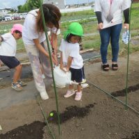 今週の一場面　こあら組　3歳児